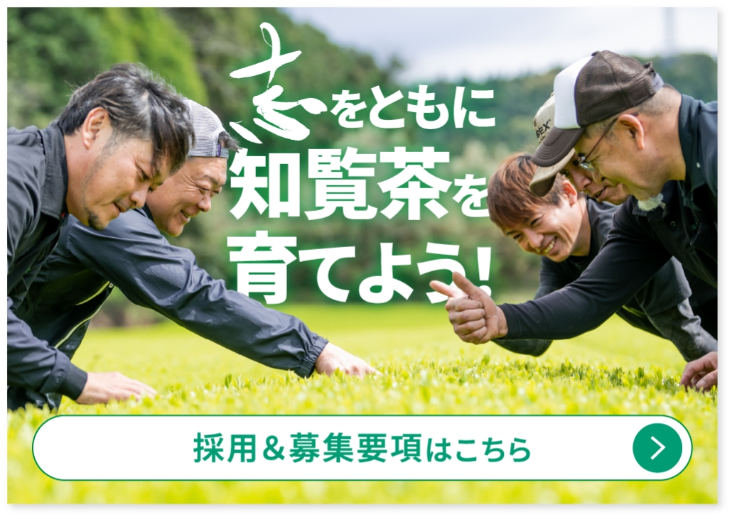 採用＆募集要項はこちら